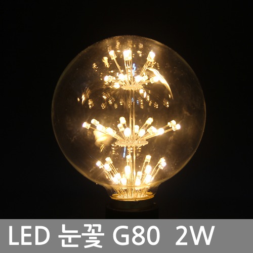 LED 에디슨전구 / 씨티 LED 눈꽃전구 G80 2W E26