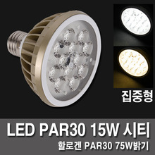 LED램프 / LED PAR30 15W 씨티 집중형