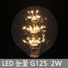 LED 에디슨 전구 LED투명볼전구 / 시티 LED눈꽃전구 G125 2W E26