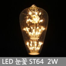 LED 에디슨 전구 / 씨티 LED 눈꽃전구 ST64 2W E26